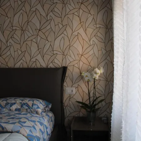 Bonelli Dreams In 4*