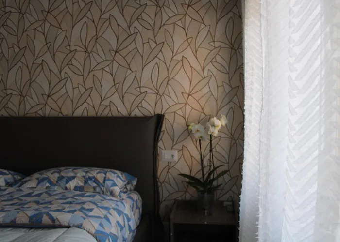 Bonelli Dreams In 4*