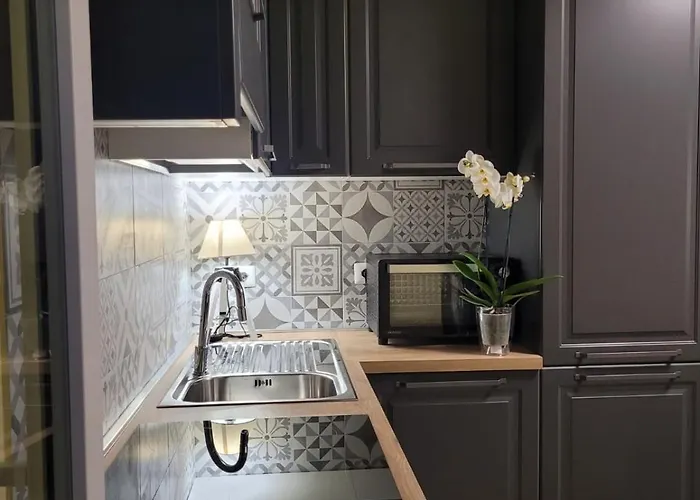 Bonelli Dreams In Pensión Roma