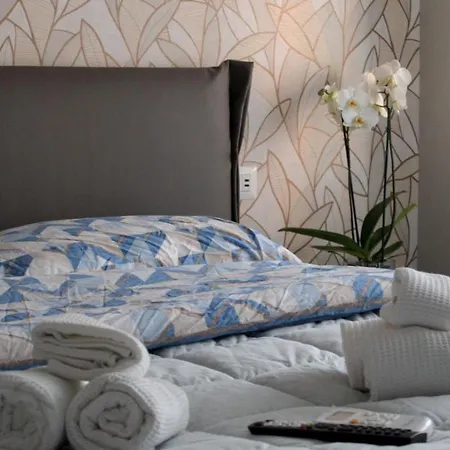 Bonelli Dreams In 4*