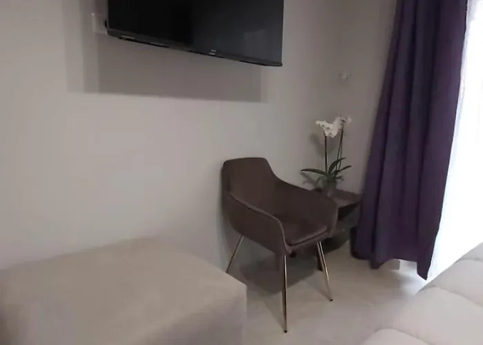 Bonelli Dreams In Pensión 4*